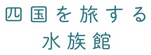 水と生命の物語をめぐる