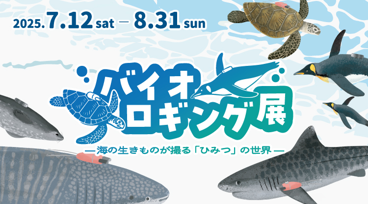 企画展『バイオロギング展』7/12～8/31開催