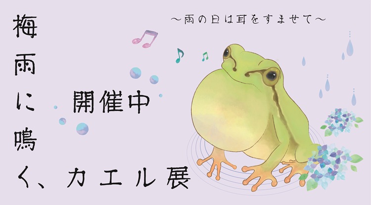 5/29（金）～7/12（日）『梅雨に鳴くカエル展』開催
