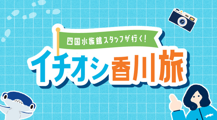 四国水族館スタッフが行く！「イチ押し香川旅」