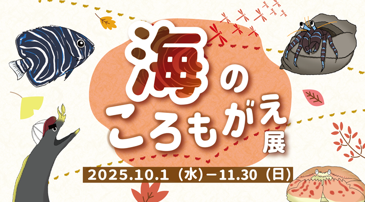 「海の衣替え展」10/1～11/30開催