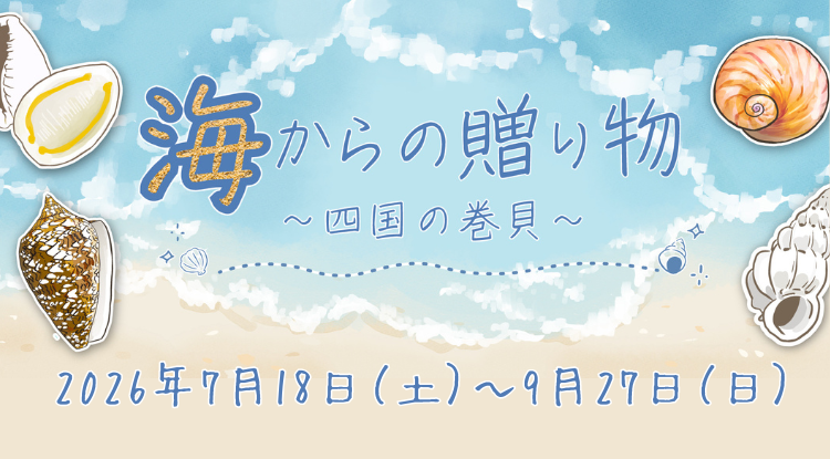ミニ企画展『海からの贈り物～四国の巻貝～』7/18（土）～9/27（日）開催
