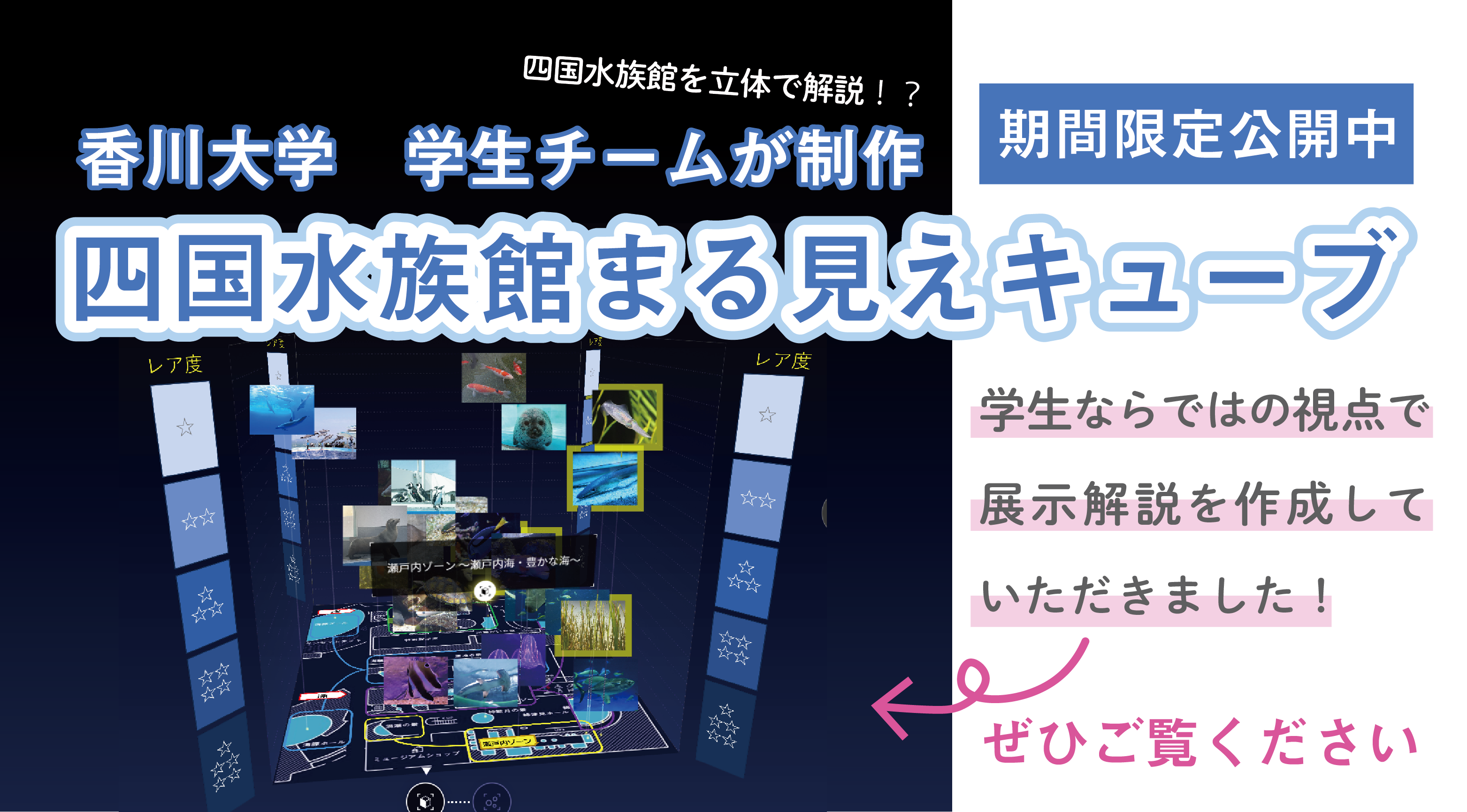 まる見えキューブ
