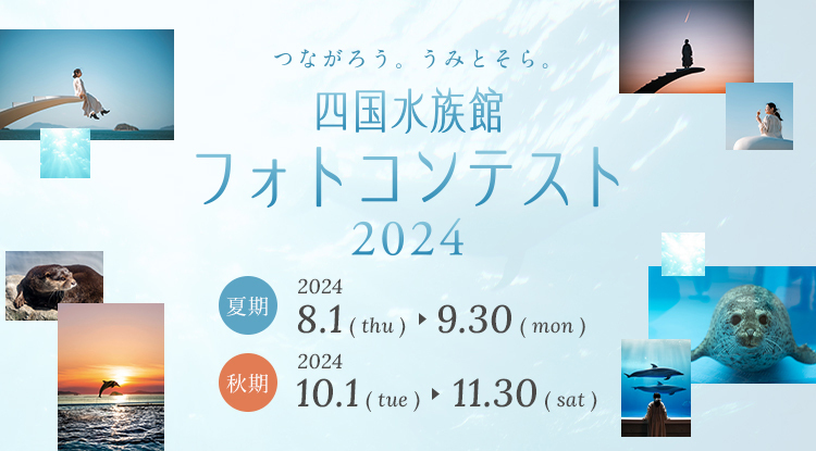 四国水族館フォトコンテスト2024