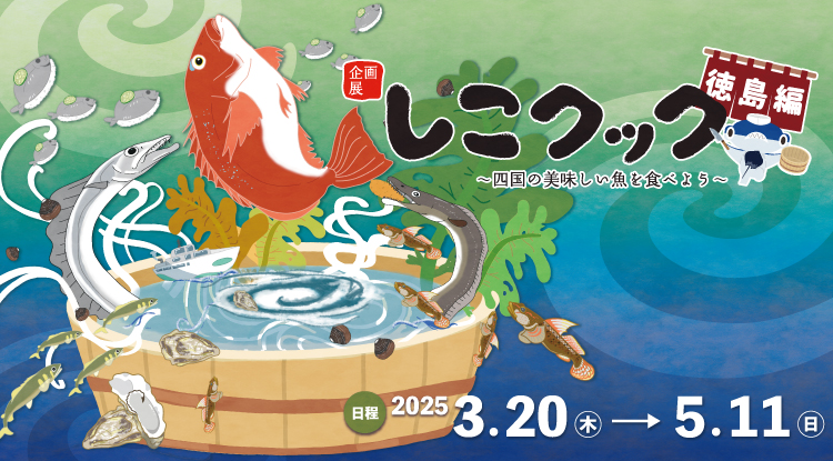 3/20～企画展「しこクック〜四国の美味しい魚を食べよう 徳島県編～」を開催