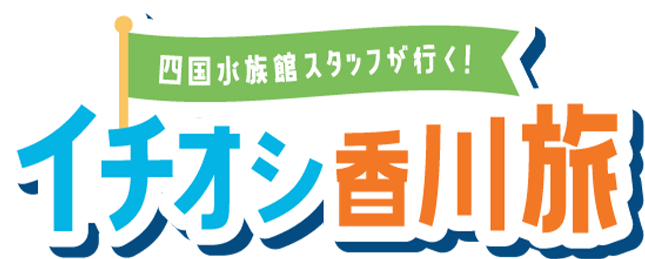 四国水族館スタッフが行く！イチオシ香川旅