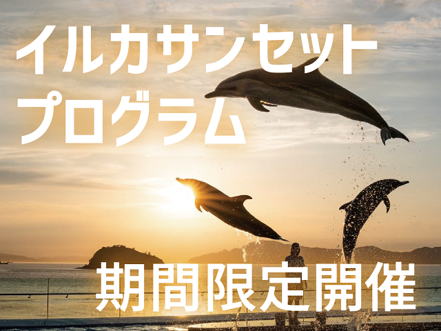 期間限定イルカサンセットプログラム開催決定 9 19 土 9 22 火 祝 は18 30まで開館 トピックス 四国水族館