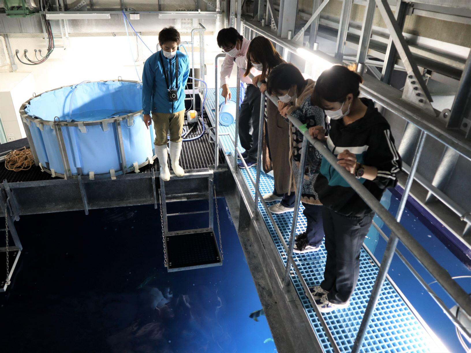体験プログラム 大水槽の裏側見せます バックヤードツアー 大水槽横から見るか上から見るか スタート トピックス 四国水族館
