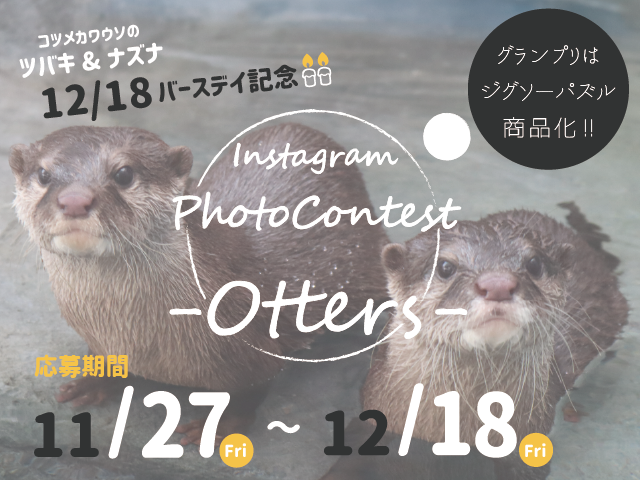 グランプリ作品はオリジナルジグソーパズル商品化 Instagramカワウソフォトコンテストを初開催 トピックス 四国水族館