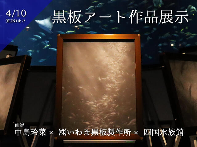終了しました】画家 中島玲菜氏が描く水中世界 黒板アート作品を展示 3