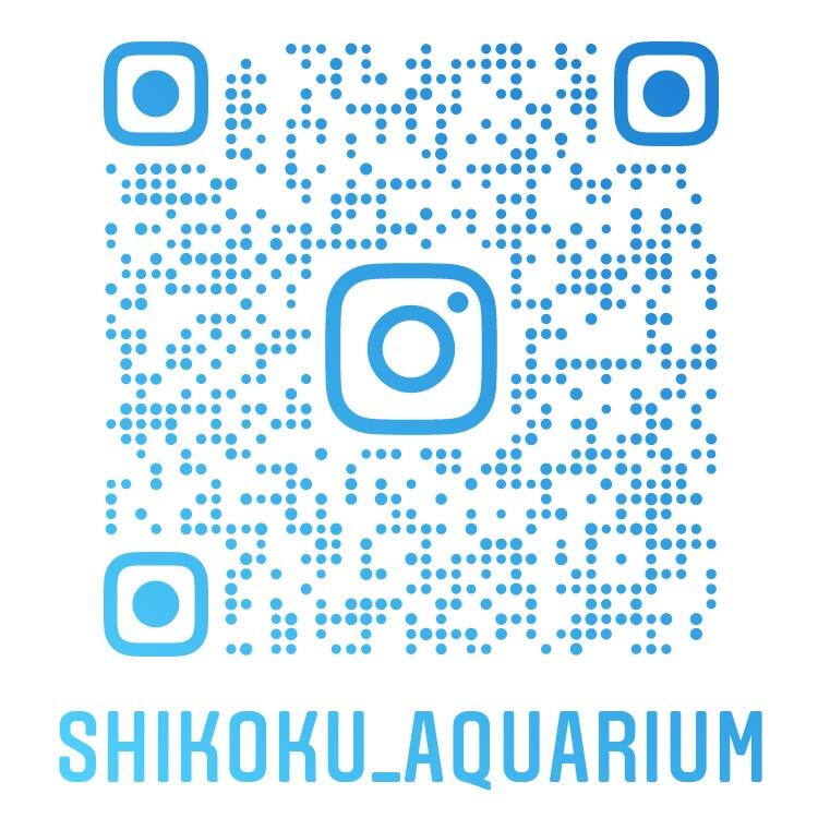 四国水族館InstagramQR.jpg