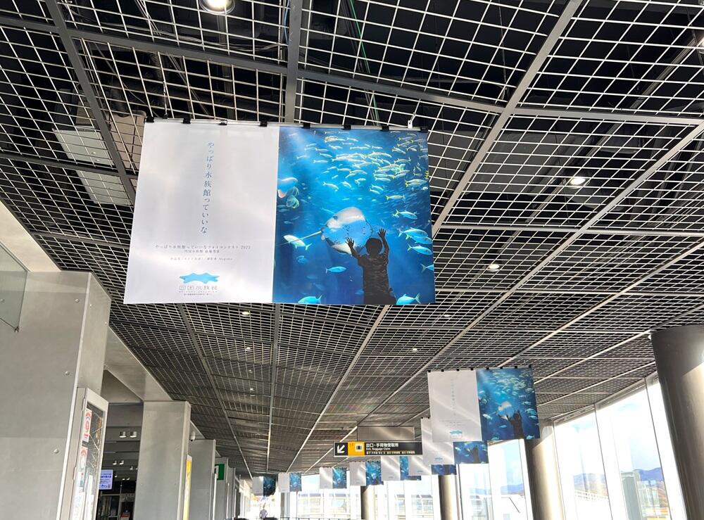 終了しました】「やっぱり水族館っていいなフォトコンテスト2023」最