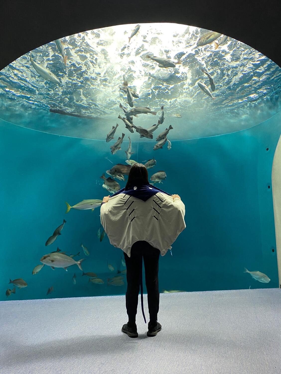 【つねりん】ミニサイズ！アクアマリンの超ネクタイねこちゃん形オルゴ☆他９点 つねりん様専用】ミニサイズ！アクアマリンの超ネクタイねこちゃん形