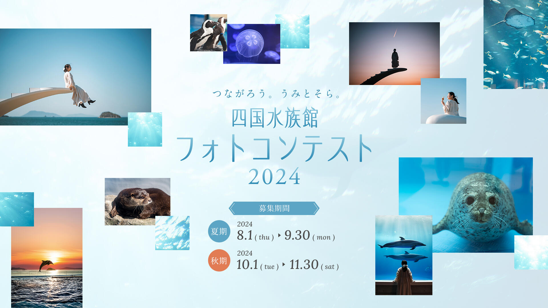 つながろう。うみとそら。四国水族館フォトコンテスト2024開催中 11月30日(土)まで｜トピックス｜四国水族館