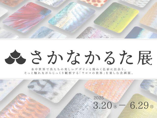 観賞魚の専門書 image51118.gif