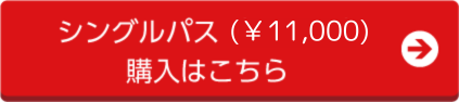 シングルパス11,000.png