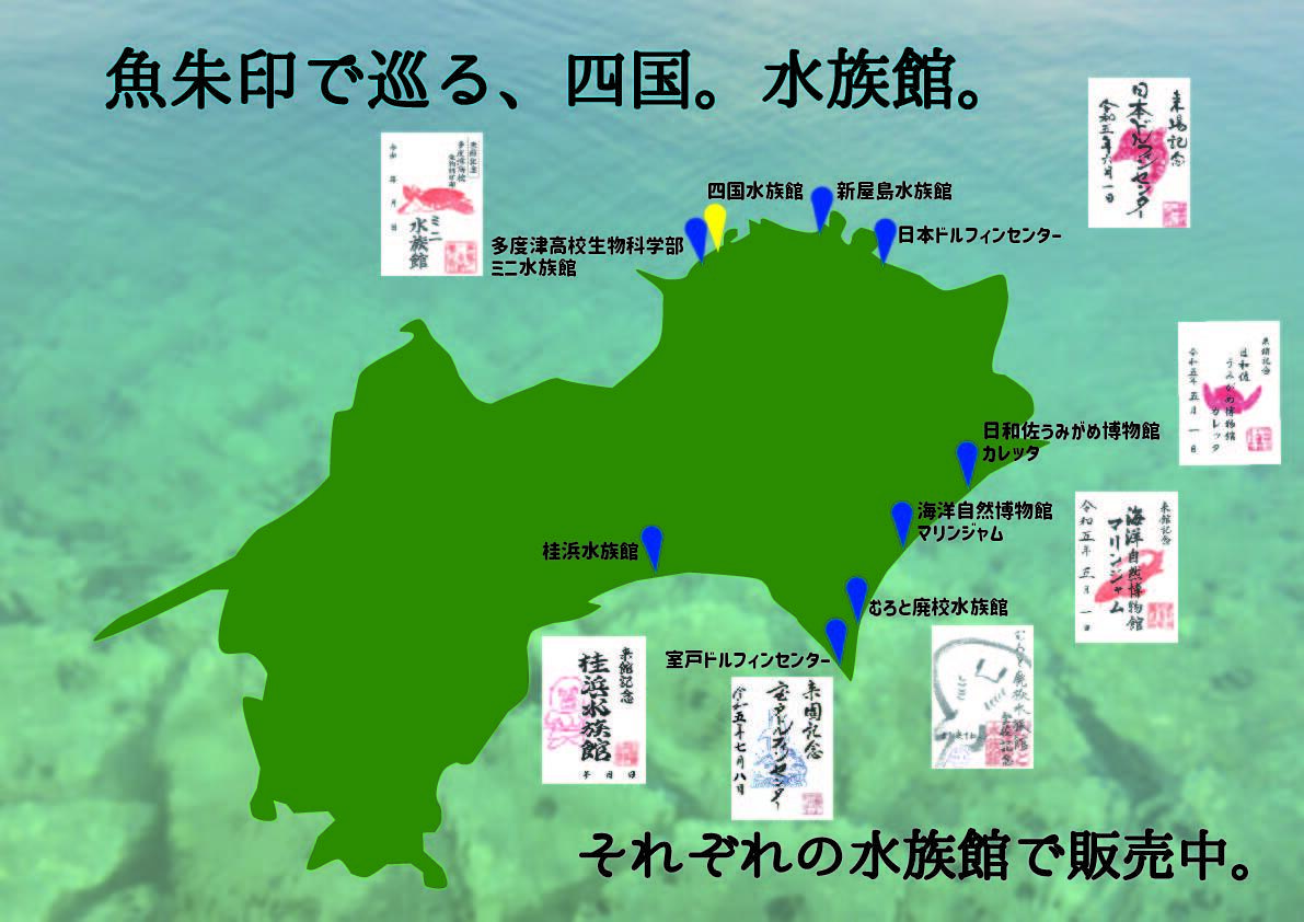 魚朱印四国ポップ20230318.jpg
