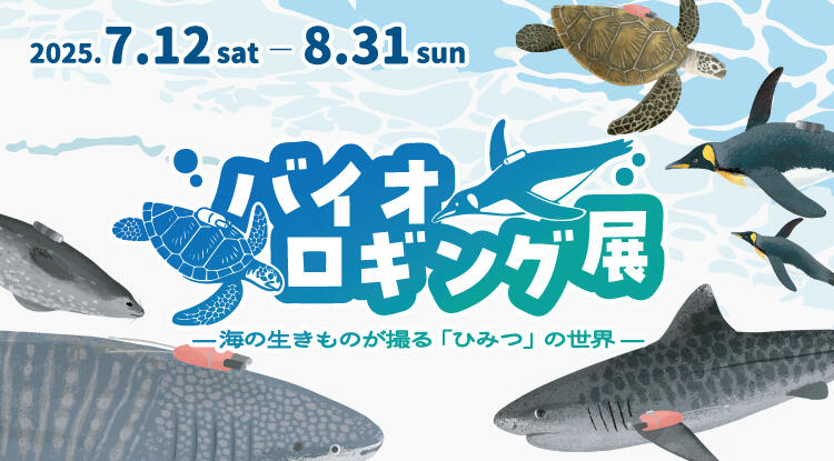 バナー2025_バイオロギング展.jpg