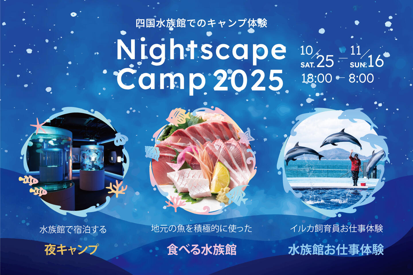 プレスリリース用改訂20250908.jpg