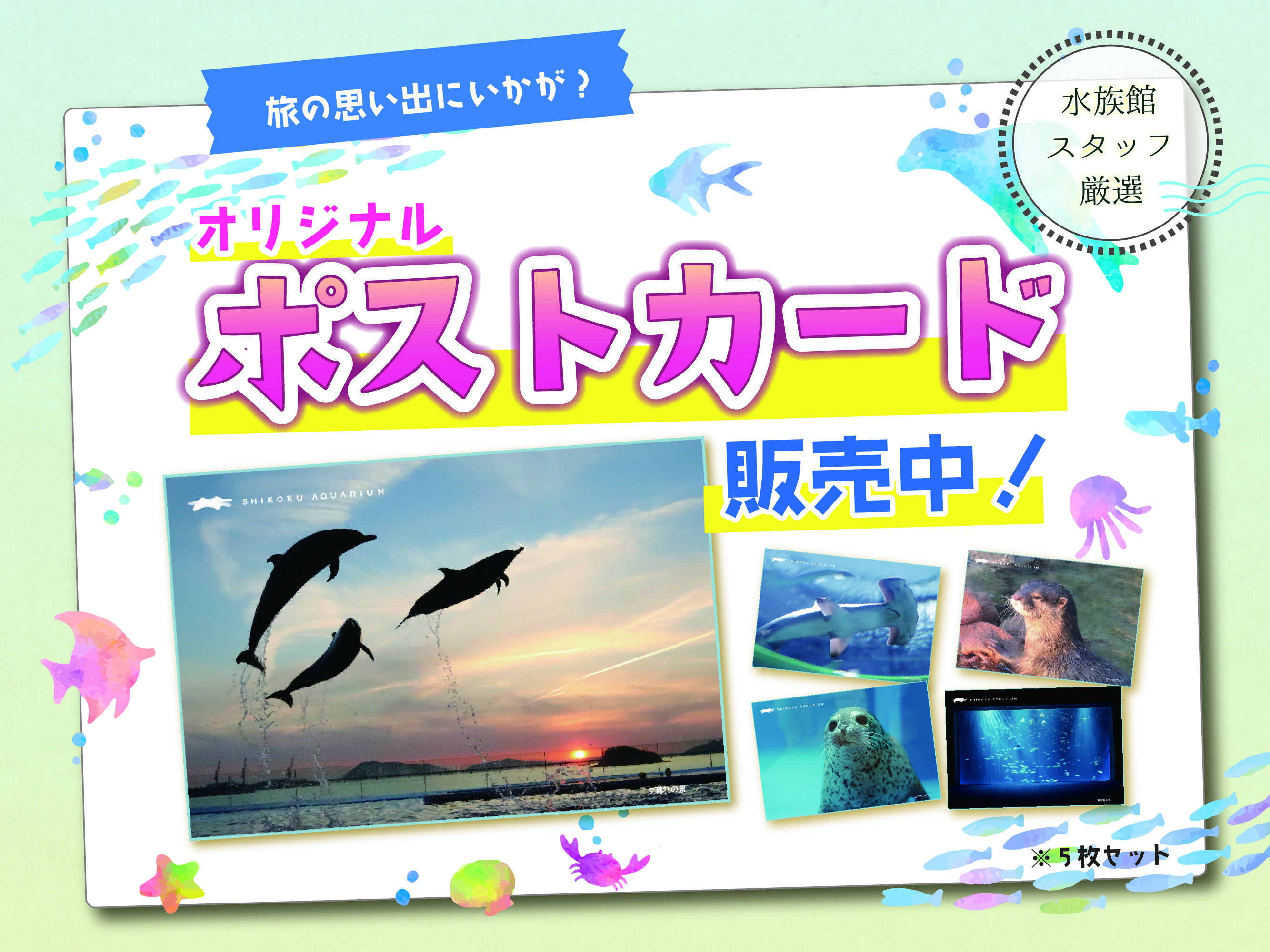 四国水族館オリジナルポストカード販売中｜トピックス｜四国水族館