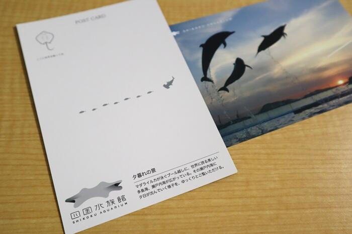 IMG_4231編集.jpg
