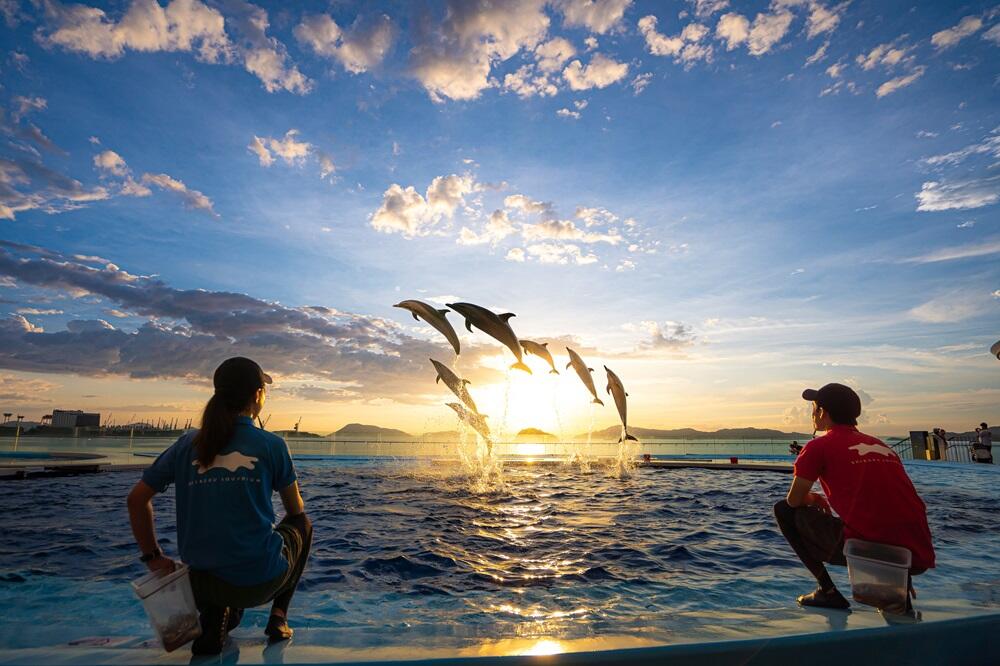 終了しました】特別なひとときをお過ごしください 夜の水族館