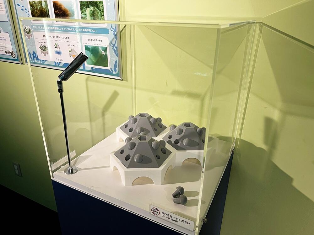 展示の様子1.jpg