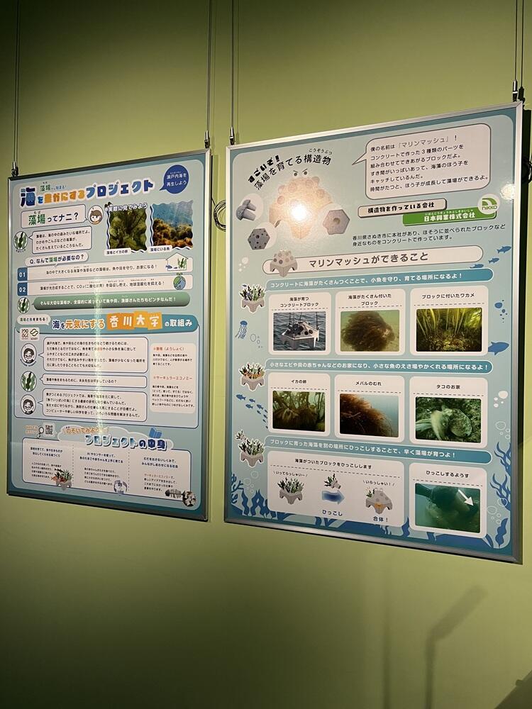 展示の様子2.jpg