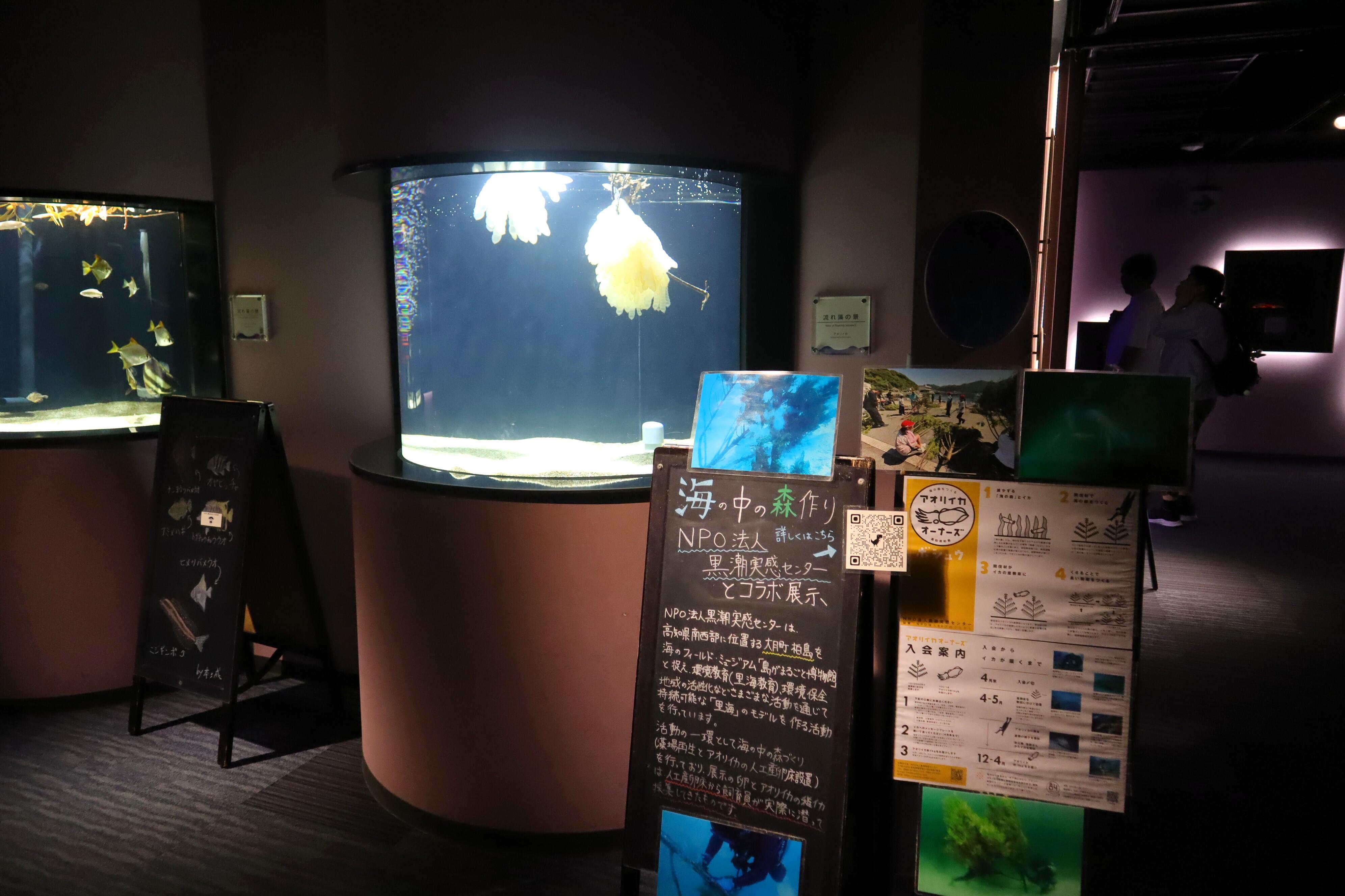 黒潮実感センターの取り組み紹介パネルも設置.JPG