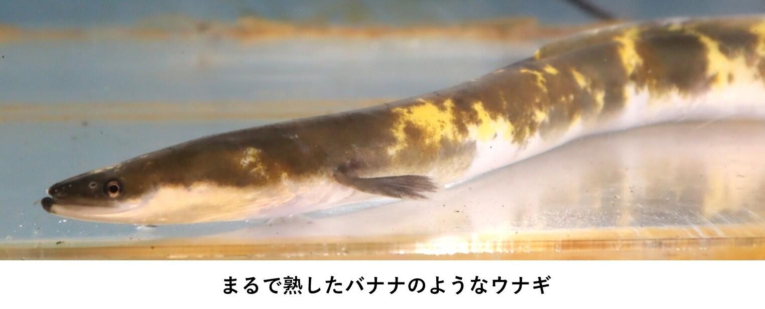 画像2.jpg
