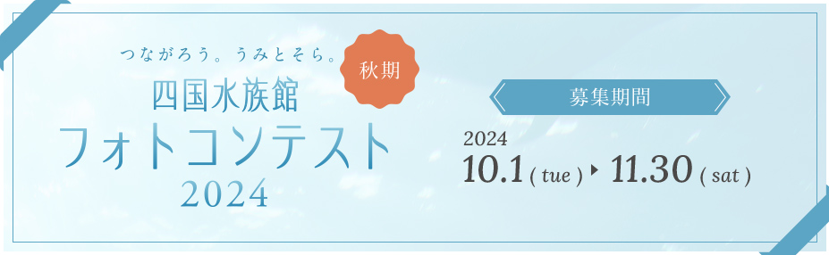 つながろう。うみとそら。四国水族館フォトコンテスト2024　秋期の詳細はこちら