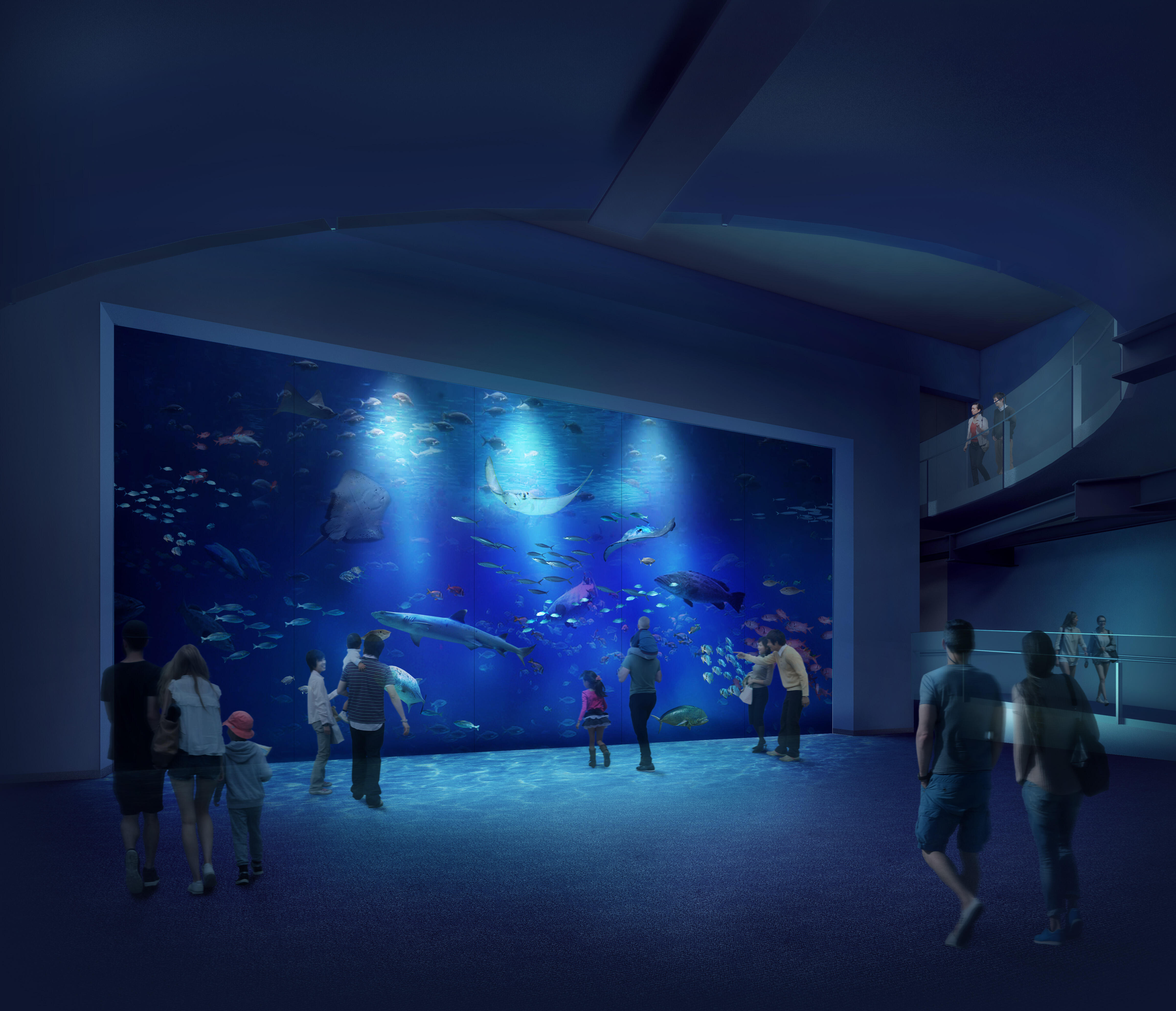 大型アクリルパネル搬入作業メディア公開のお知らせ プレスリリース 四国水族館