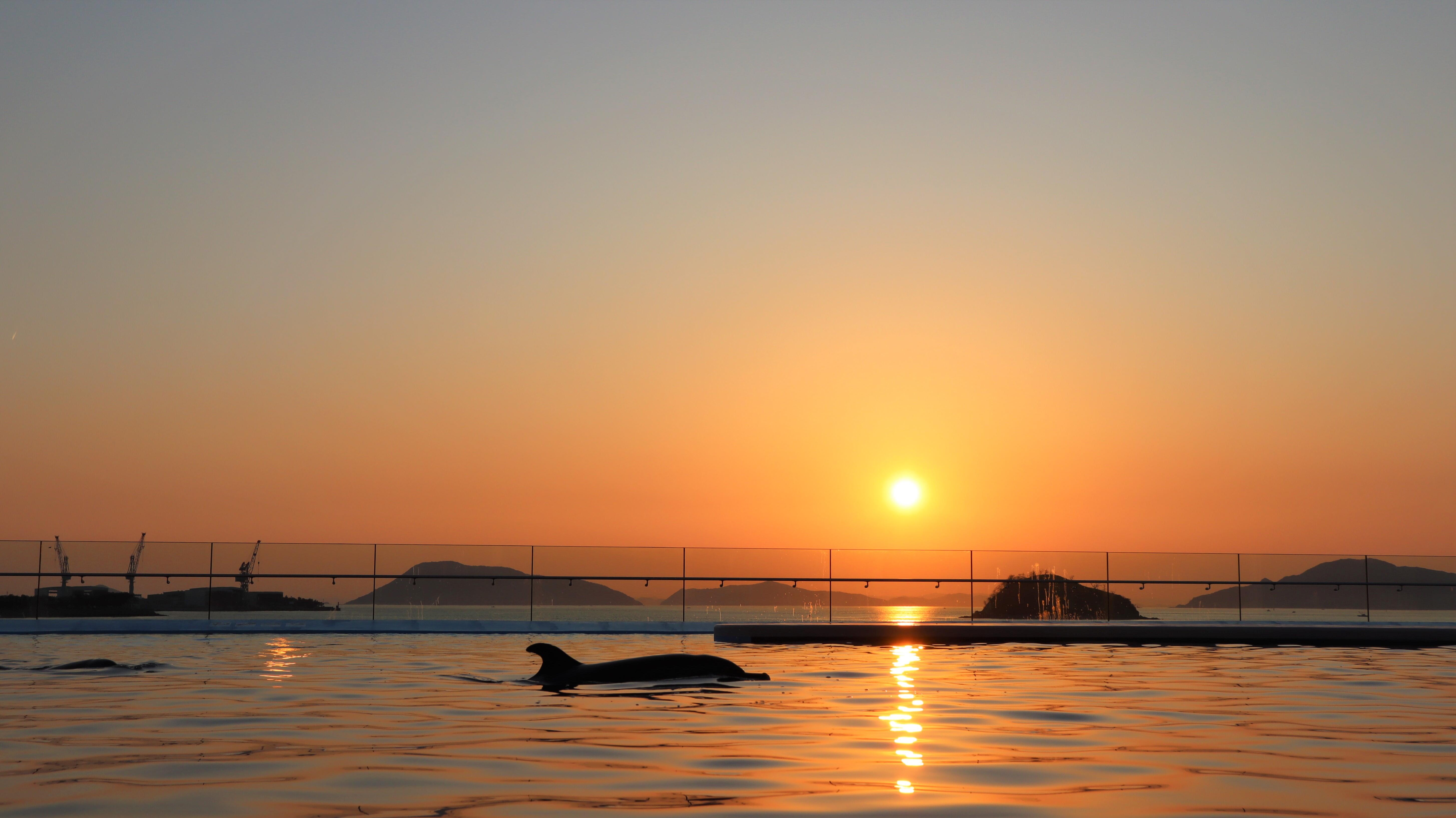 夕暮れの景.jpg