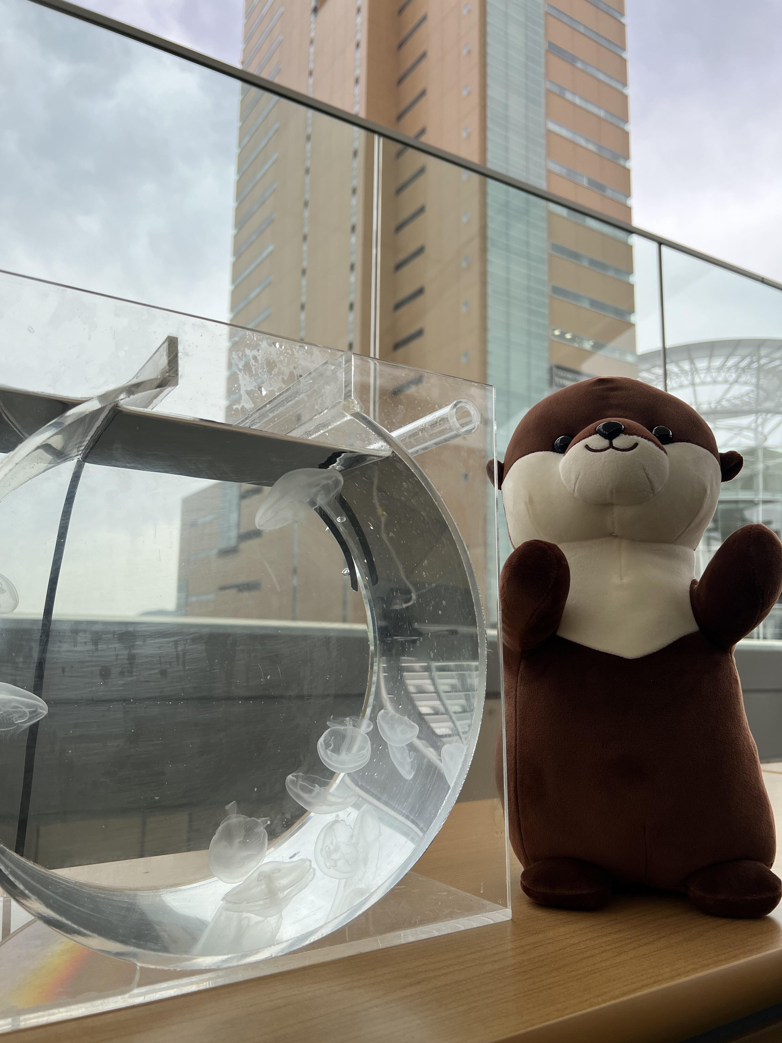 はじめましてTAKAMATSU ORNE！初の出張水族館レポート！｜四国水族館